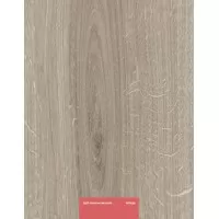 Ламинат Kastamonu RED красный (Floorpan) Дуб каньон светлый FP0024